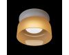 Потолочный светильник LOFT IT Totem 10466 Amber matte