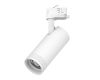 Трековый трехфазный светильник Quattro 20-55G с адаптером Lightstar Canno Pro C4206QT (304206 + 594006)