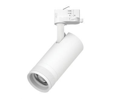 Трековый трехфазный светильник Quattro 20-55G с адаптером Lightstar Canno Pro C4206QT