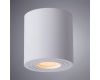 Накладной светильник ARTE Lamp A1460PL-1WH