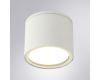 Уличный потолочный светильник Arte Lamp Piautos A1913PF-1WH