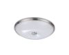 Настенно-потолочный светильник Odeon Light Pelow 4957/5