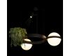 Подвесная люстра Loft IT Jardin 10121/2