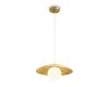Подвесной светильник Freya Albero FR5589PL-01T