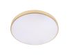 Потолочный светильник Loft IT Flims 10228/B