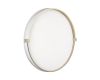 Настенно-потолочный светильник Sonex Pale Olidi White 7646/ELN