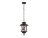 Уличный подвесной светильник Loft IT Prato 100021P