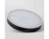Торшер Lussole Carmel LSP-0901-SE