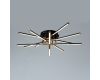 Потолочный светильник Arte Lamp Fernando A2199PL-6BK