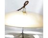Подвесной светильник Lussole LOFT Acquario LSP-8357