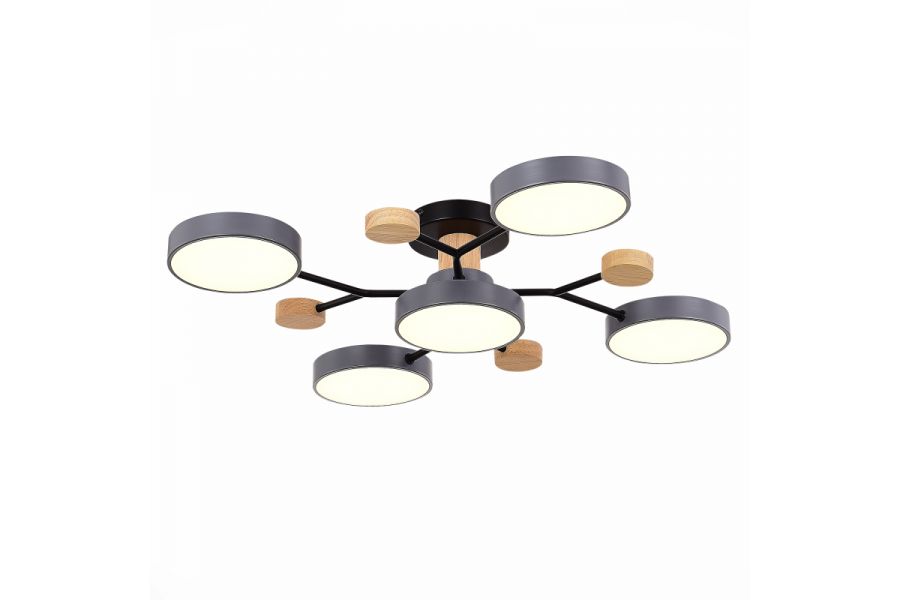Люстра на штанге Evoluce Faema SLE6006-702-05