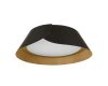 Потолочный светильник Loft IT Lane 10370 Black