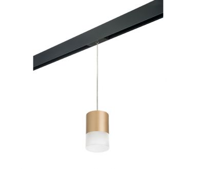 Трековый однофазный светильник Lightstar Rullo (213490+595887+202481) PRORP349081