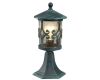 Уличный светильник Arte Lamp Persia A1454FN-1BG