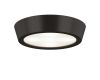 Потолочный светодиодный светильник Lightstar Urbano 214974