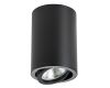 Накладной светильник Lightstar Rullo 214407
