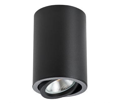 Накладной светильник Lightstar Rullo 214407