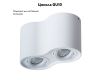 Потолочный светильник Arte Lamp Falcon A5645PL-2WH