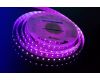 Светодиодная лента DesignLed DSG5120-24-RGB+W-33 000514
