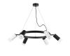 Подвесная люстра Lightstar Rullo (571016+214437-3+214436-3+202431-6) LR0163733631