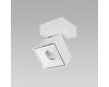 Спот Citilux CL558020N
