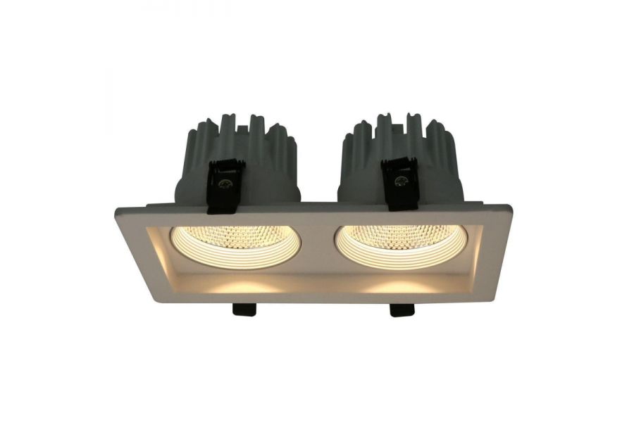 Встраиваемый светодиодный светильник Arte Lamp Privato A7007PL-2WH