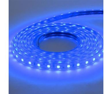 Светодиодная влагозащищенная лента Horoz 6W/m 60LED/m 5050SMD синий 50M 081-004-0001 (HL543L) HRZ00001188
