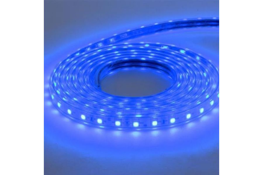 Светодиодная влагозащищенная лента Horoz 6W/m 60LED/m 5050SMD синий 50M 081-004-0001 (HL543L) HRZ00001188