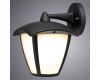 Уличный настенный светильник Arte Lamp Savanna A2209AL-1BK