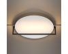 Настенно-потолочный светильник Odeon Light Lunar 7015/20WL