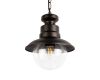 Уличный подвесной светильник Loft IT Piemonte 100022P