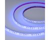 Светодиодная лента герметичная Arlight RTW-SE-A120-8mm 24V RGB (12 W/m, IP65, 5m) (5 лет) 042906(1)