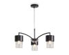 Подвесная люстра Freya Lumin FR5515PL-03B