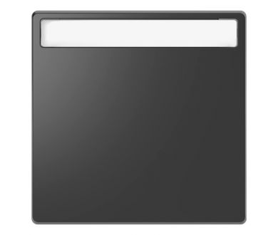 Клавиша одинарная Schneider Electric Merten D-Life MTN3360-6034