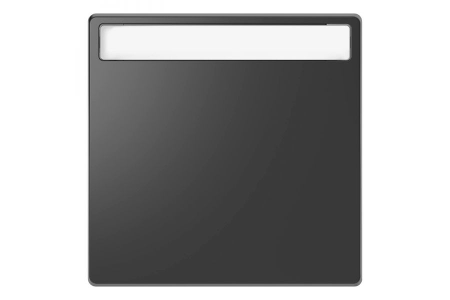 Клавиша одинарная Schneider Electric Merten D-Life MTN3360-6034
