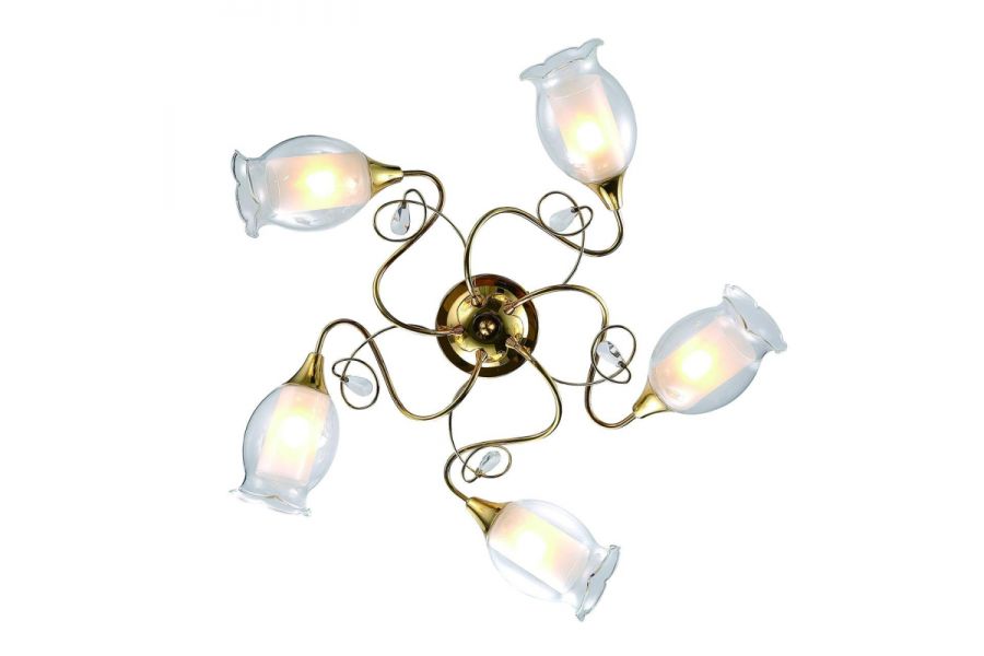 Потолочная люстра Arte Lamp Mughetto A9289PL-5GO