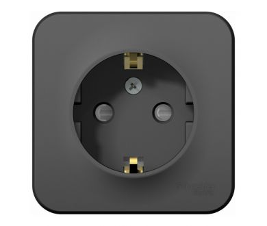 Розетка с/з со шторками, 16А, 250В Systeme Electric Blanca наруж Антрацит BLNRA011106