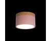 Накладной светильник Loft IT Grape 10162 Pink