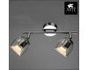 Светодиодный спот Arte Lamp 14 A1558AP-2CC