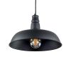 Подвесной светильник Citilux Эдисон CL450204