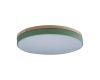 Потолочный светильник Loft IT AXEL 10001/36 Green