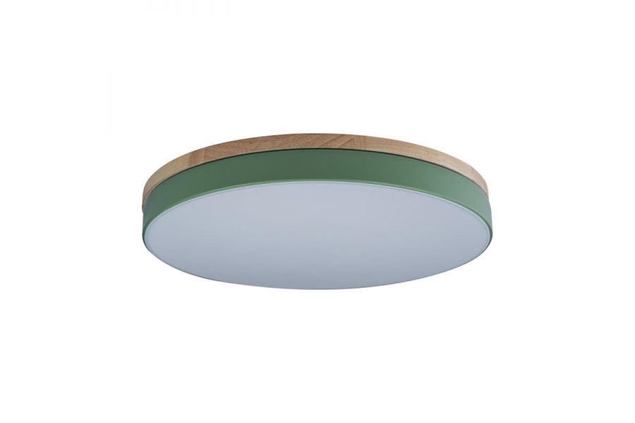 Потолочный светильник Loft IT AXEL 10001/36 Green