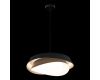 Подвесной светильник Loft IT Petale 10256P Black