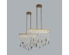 Потолочная люстра Odeon Light Hall Afina 5420/48L