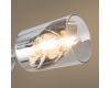 Потолочная люстра Freya Dual FR5226PL-06W