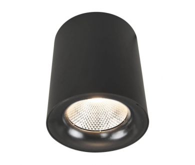 Потолочный светодиодный светильник Arte Lamp Facile A5118PL-1BK