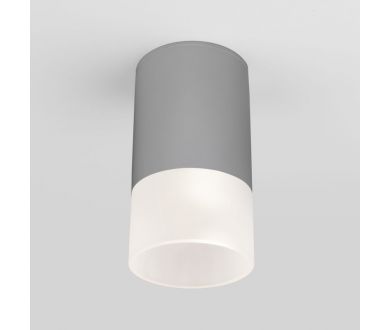Уличный потолочный светильник Elektrostandard Light LED 4690389177934