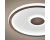 Потолочный светильник Freya Freya Orbit FR5421CL-L80BR