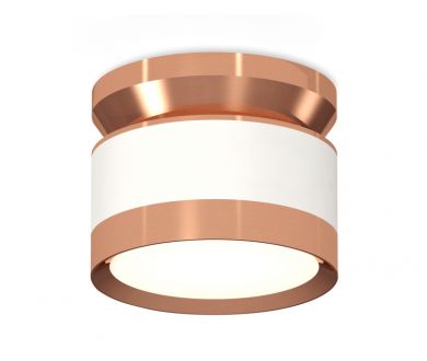 Потолочный светильник Ambrella Light Techno Spot XS8101065 (N8912, C8101, N8126)
