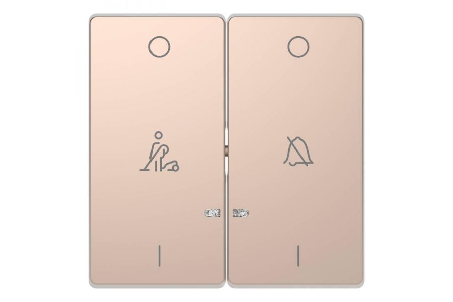 Клавиша двойная Schneider Electric Merten D-Life MTN3429-6051